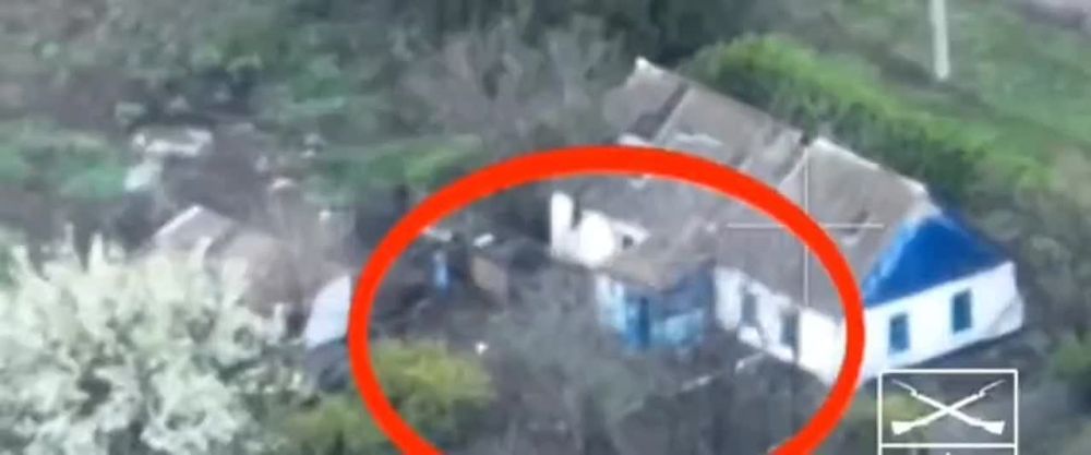 �������� �����: ������������ � ���������