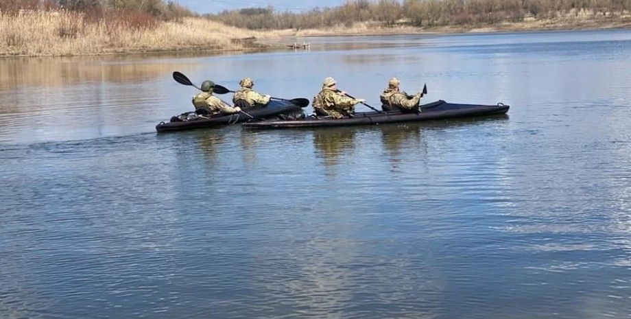 �������� ����������� ������� ������������� ���, ����� ����������� ����� � Bild