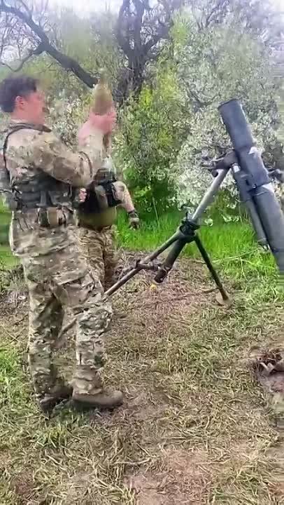 ���������� ������ � ������� ���� �� ������ WBA, IBF � WBO ��������� ���� ���������� �� ��������� � ��������� ������� �� ��������