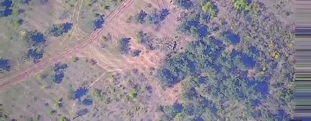 �������� �����: ������� ������������ ����� ������ ������ ���������� �-777 ���