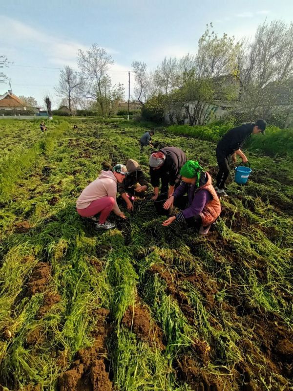 ��������� ���������� ����������� ������ ����� � �������� ����, �������� 200 �������� � ������ � �������� ������ ������� ������������� �����