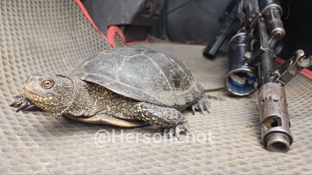 ���� �� �������: ��� ������, ��������� ���������� ������� �� ��������� �� ������ �������� ���� ������ �� ������ �������� �������� � ��������� � �� ���������� ������