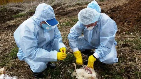 ������� ������� ��� ���������