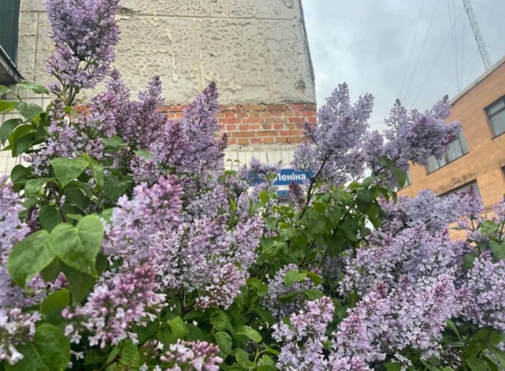 ����� ����������: ������ �������� ������ 2023 ����, ������ �� �� ����������