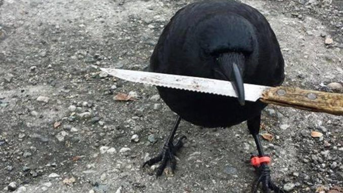 �� ����������� ������� ������ �������� �� �����-�����������..