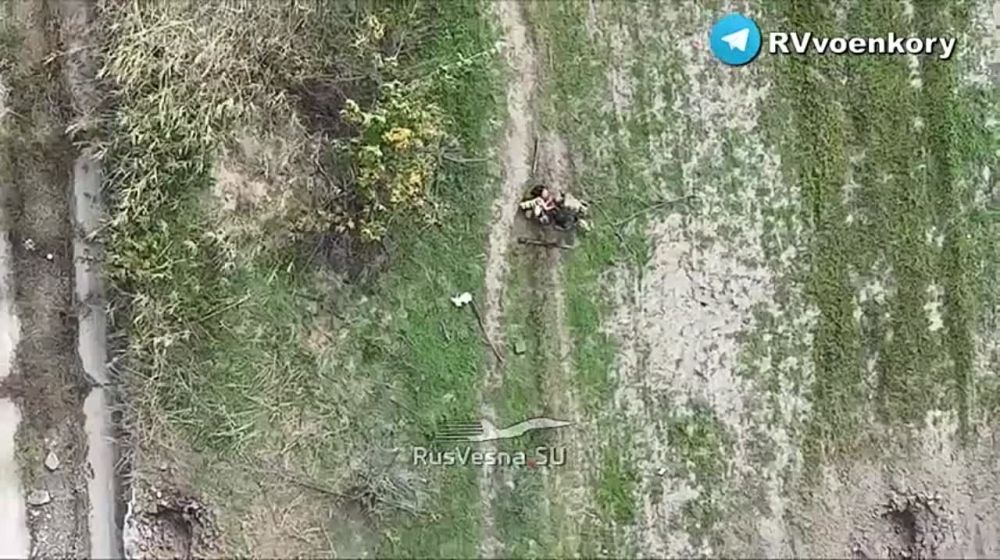 ������ ����� ����� ���� ������ ����� ������������ ����� - ������ ����� "������"mavic