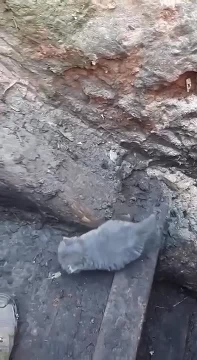 � �������������� �� ���������� ����������� ������ ����������� �����