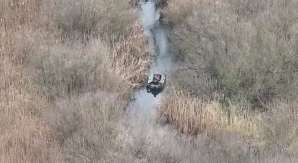 � ������� ������� ������ ��������� ���� ���. ������� ����� ���������, ���������, ��� �� ������� �����������, �� ��� ������ ������� � ���� �������, � � ����� �����