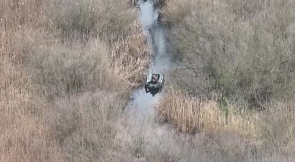 ������� ������: ��� ��������, � �������, ������ ������� ������������ ������