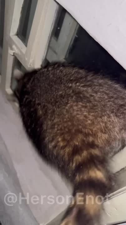 ���� �� �������: ���� ������ ����, � �������� ����������