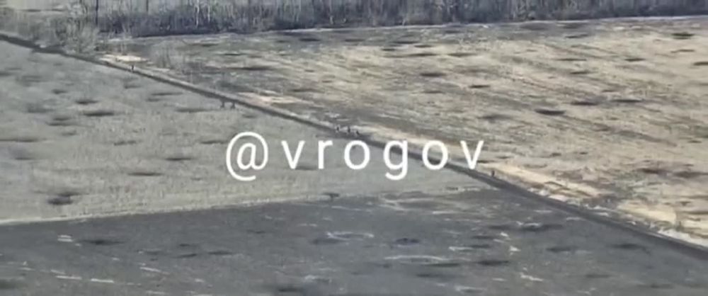 �������� �����: ������� ����� ������ ��������� ���� ���������� �������� ���