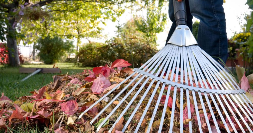 � ���������� 1 ��� ���������-������ ������� ��������� �� ���������� ���������� ���