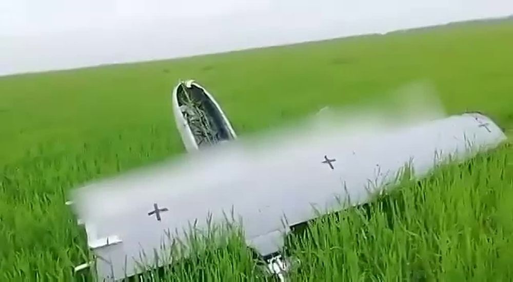 �������� ������� ��������, ��� ��� ������ ���������� �����������, �������� � ����������������� ������ (���� ��������)