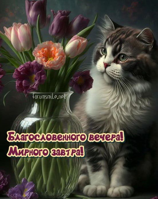 ������� ������, ������! ������� �� �������� �� �� ������