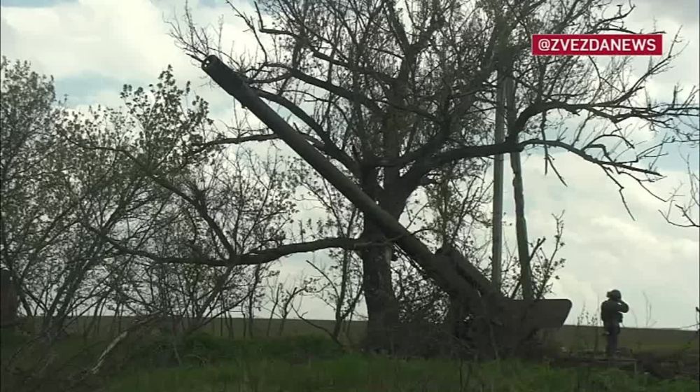 ������� ������������ �������: