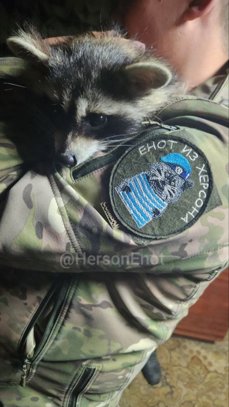 ���� �� �������: ������! ������� ���� � �������� ����������� ���