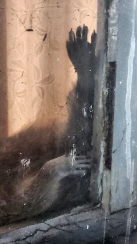 ���� �� �������: �� ��� ������, � � �����!