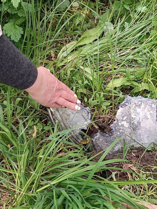 ���� �� �������, ���� �� ��� ��������� ����� � ������ ������� �������� �����������