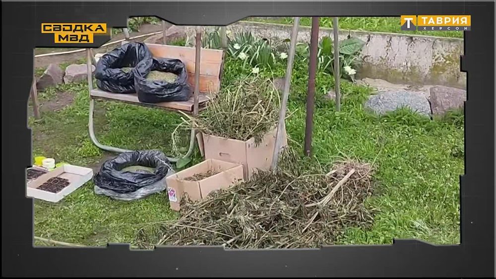 �� �������� ������ �� ���������� ���������� ������� ���������� ������� ���������� ���: