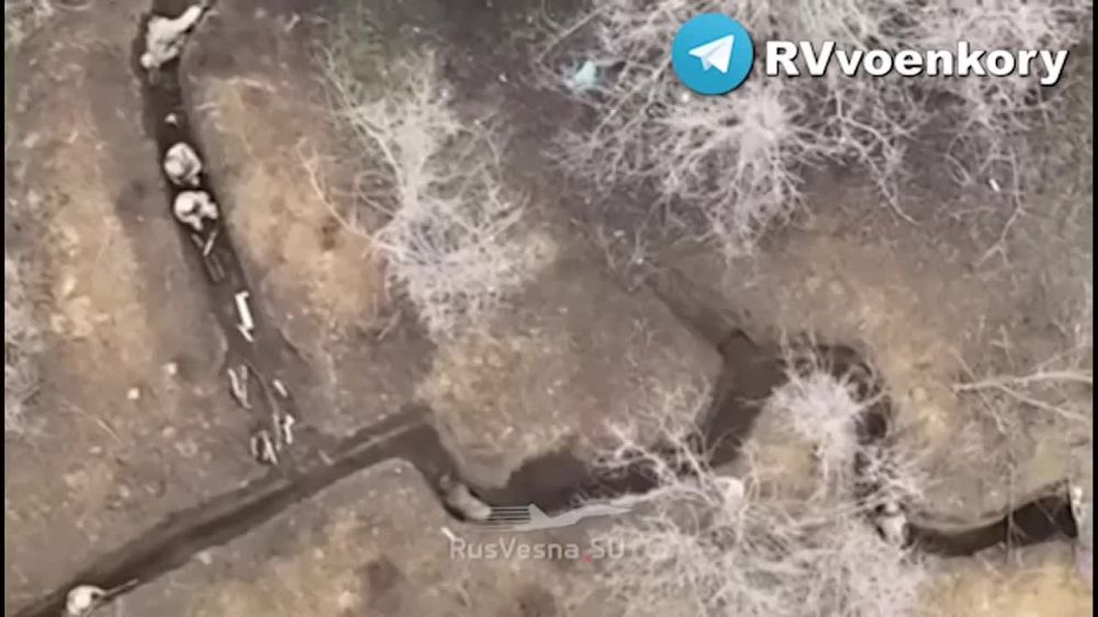 ������� ���� ������� ������� � ������, ����� � ������� ���� ���