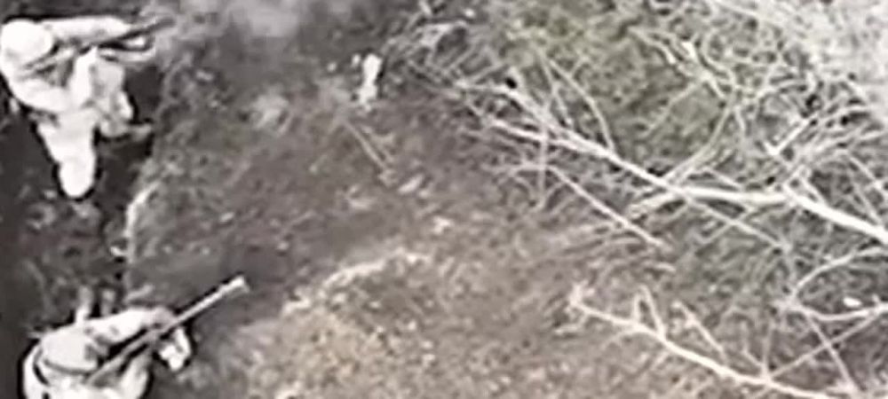 ������ ������ ����������� �������� �������� ����� ���������� �����