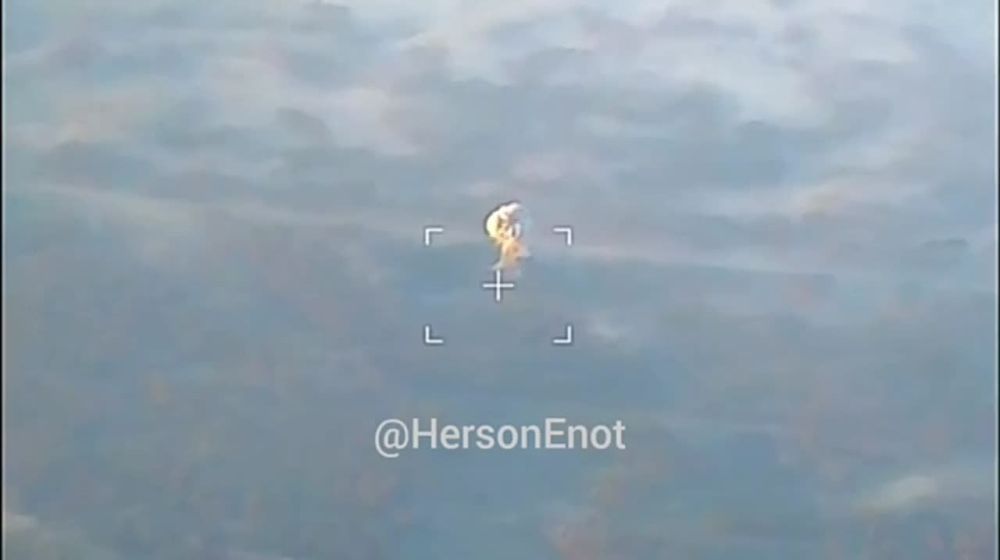 ���� �� �������: �����, ���-�� ���������� � �������� � ��������� ����