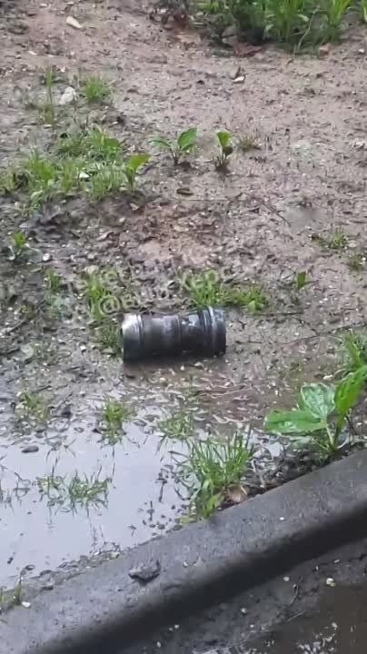 ����� ����������� ������� �������� �������