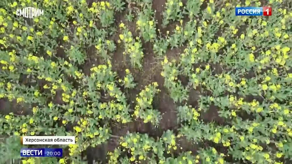 �������� ������ �������� �� ������: � ���������� ������� �������� �������-������� ������