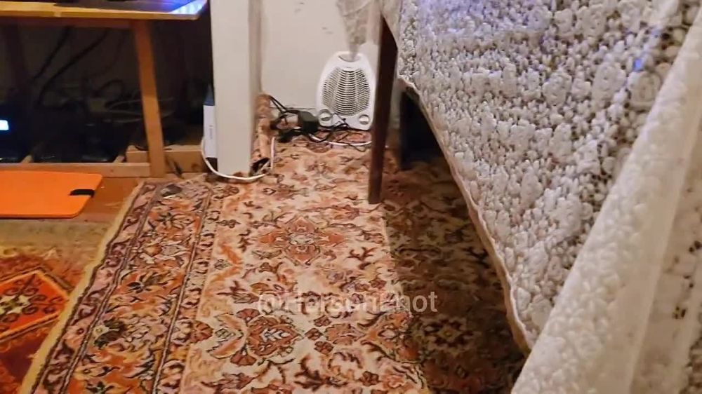 ���� �� �������: ��� �� �������� ��������, ������!