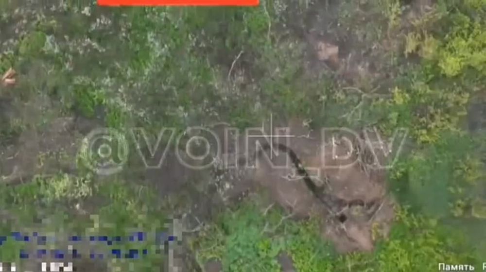 �������� �����: ��� ������ ������� ������ ������!