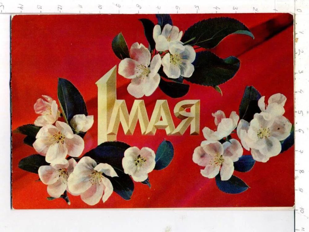 ����������� � ���������� ����� � �����!