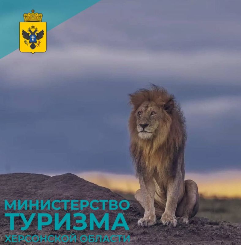 �������� ������-����� �� ���������� �������