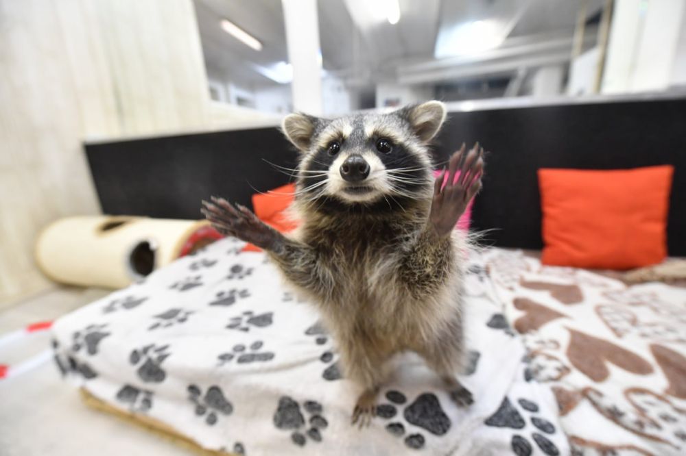 �� ���������� ������� �������� ���������� �������