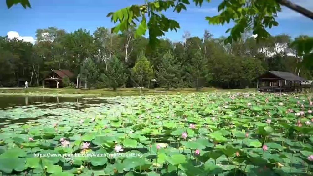 ��������� ������ ����� ������