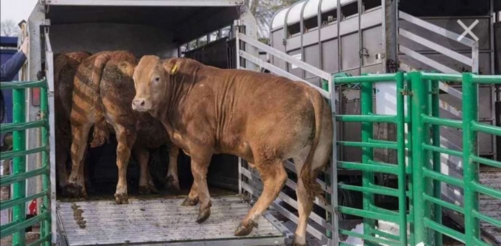 ��������� �������������� ���������� ������� �����������