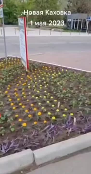 ��� ����� ���� ����� � ����� ������� �����