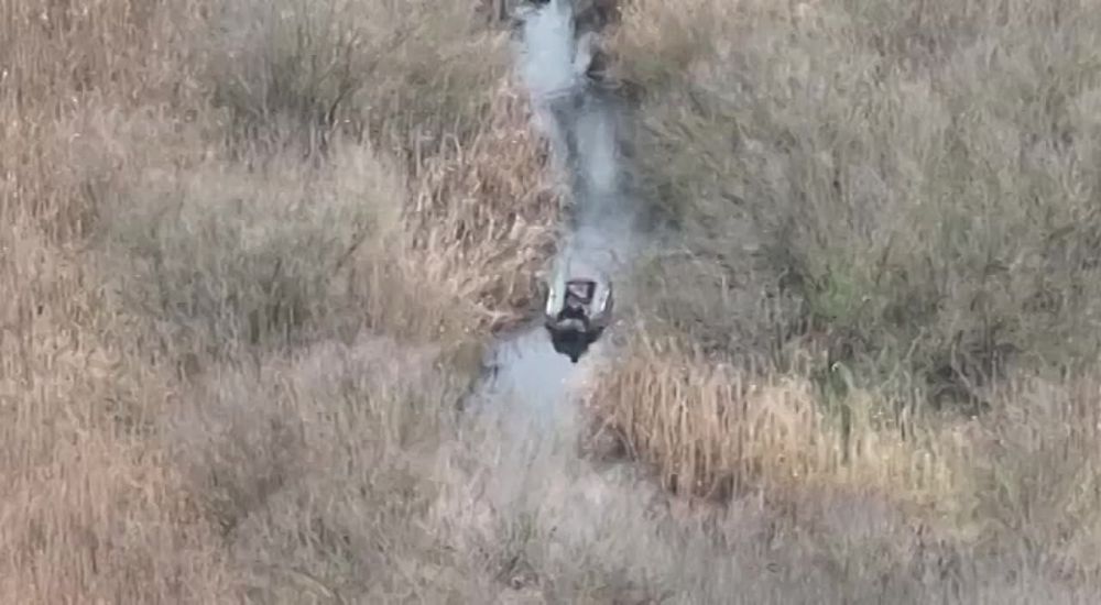 ������� �������: � ������� ������ ������ ����� �������� ����, ����� �� ������ ���� ��� �� ����� ��������� ��, ��� �� ������� ������, �� ������������ ��� �� ����������