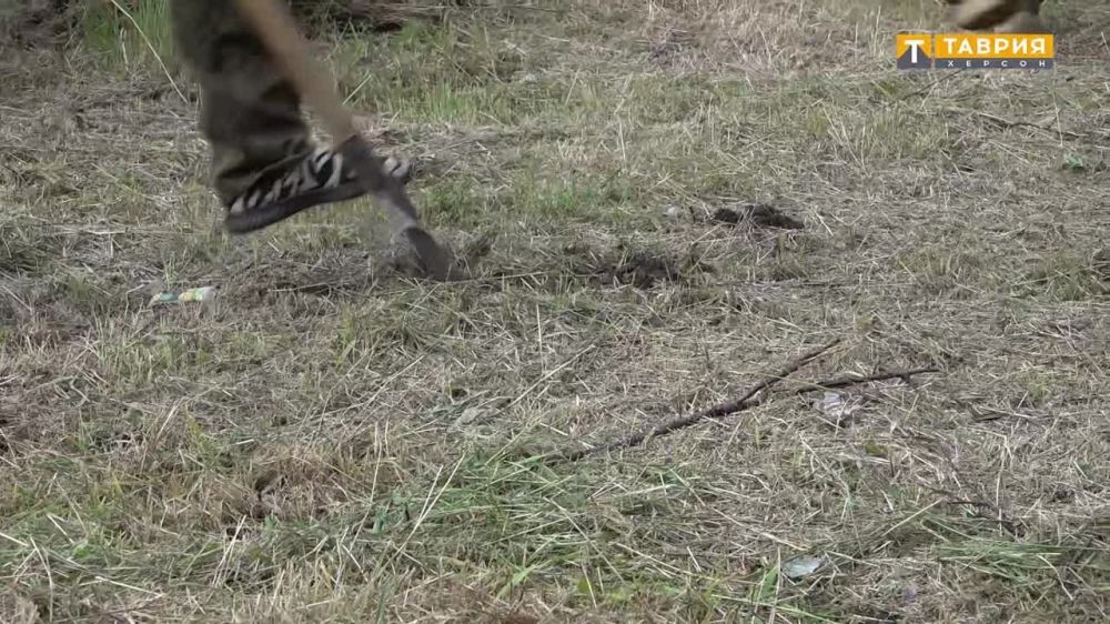 ������������� ����� "��� ������" ������ � ���������� ����� ��������� �����