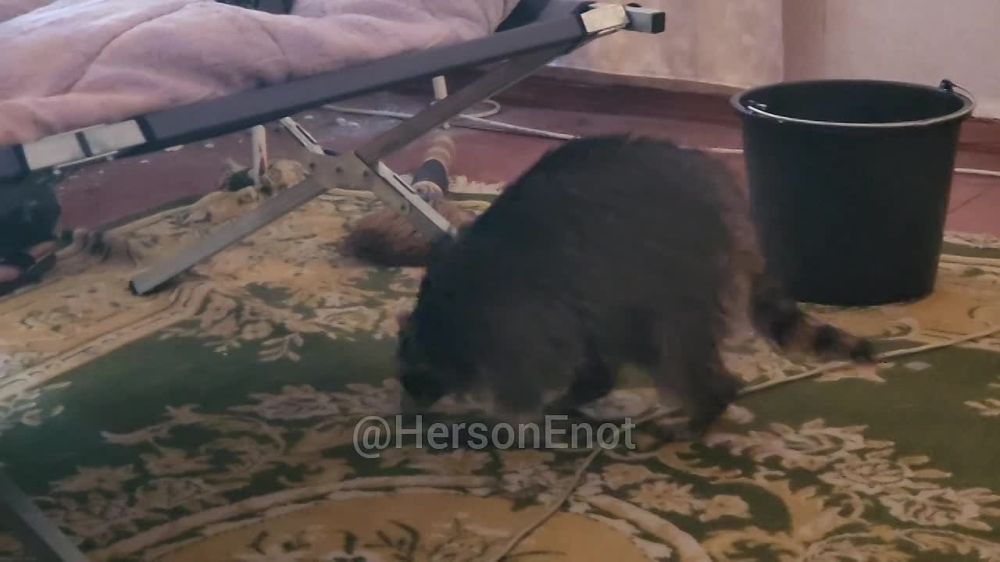 ���� �� �������: ������� ���� � �������� ��� ������!