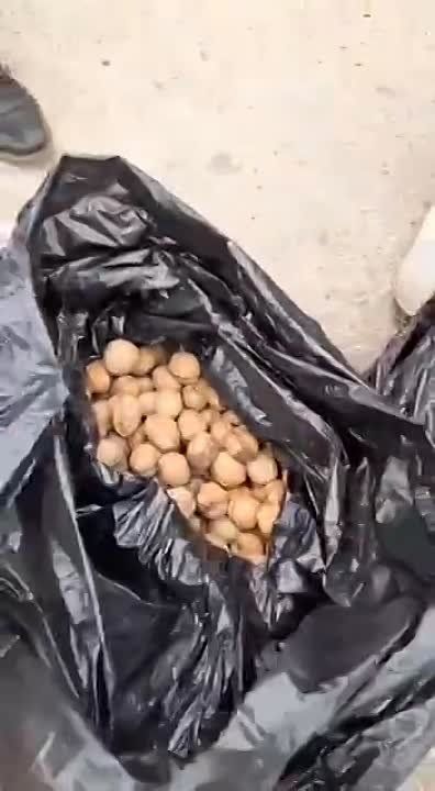 �������� �����: ������� ������ ����������� ������� ���������� � ��������� ��� ����� ������!