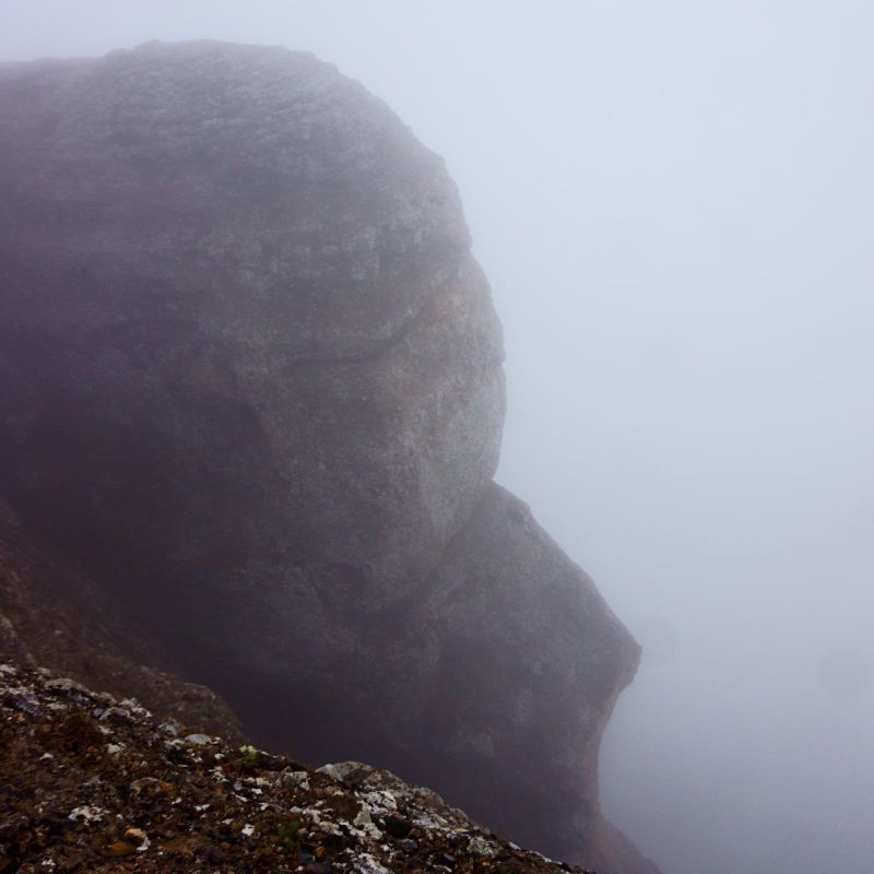 ������� ����������, ������ ���� ��������� ����