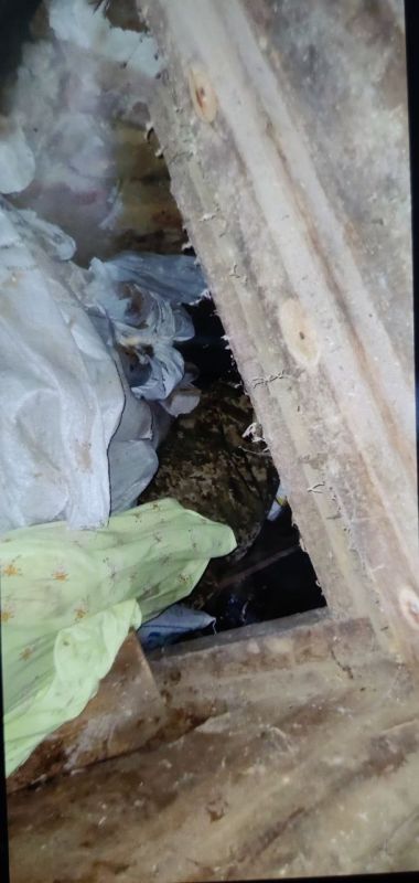 ����� �����: � ����� �� ��� �� ���������� ���������� ������� ���������� ������������� ����� ���������� � ����������� ���� ���������� �����