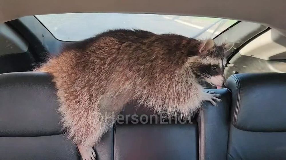 ���� �� �������: � ��� �, �� ������ ��������, ��� �� ����������� ��� 98-�, ������� �� ������� ����������