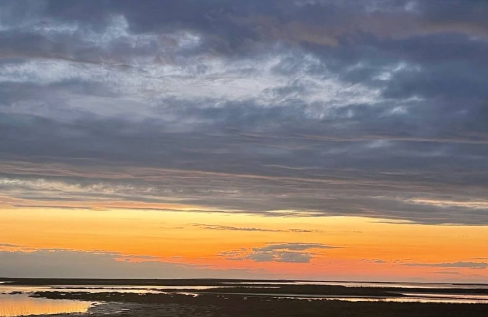 ����� ����������: ����������� �� ����������, ��������� ������ ���