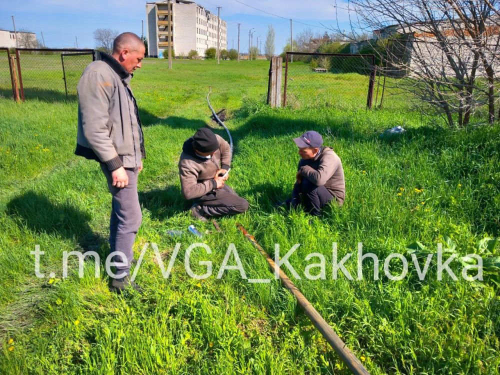 ����������������� ������������ ����������� �����������