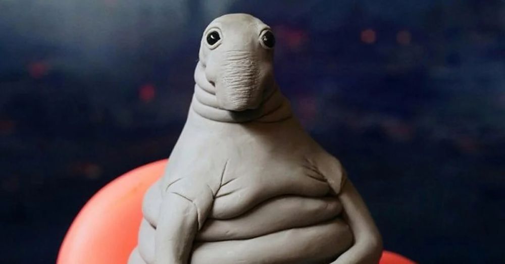 �� ���, ������ ���� (�)