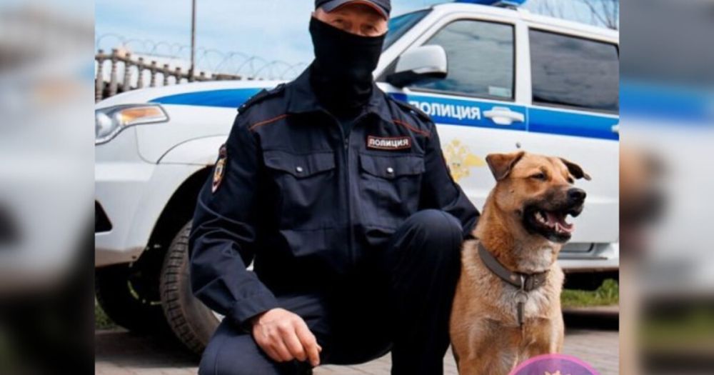 ��� ��� �� ���������� ������� ���� ������� ���������� �������