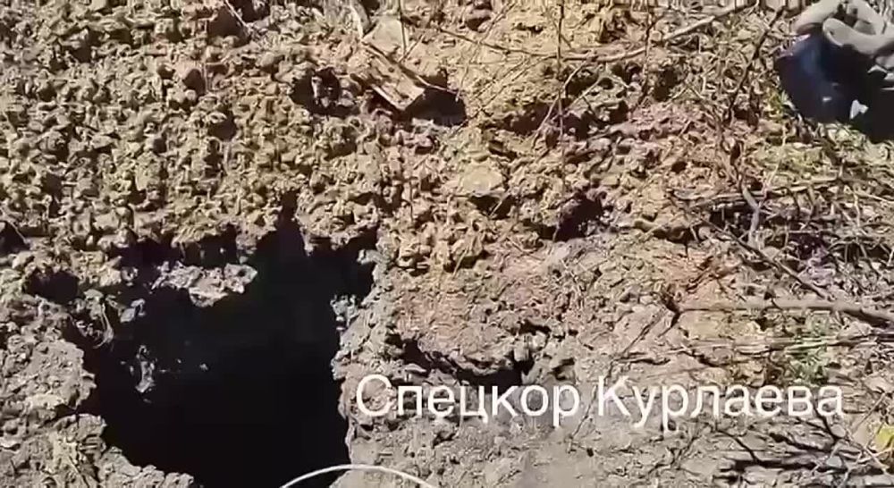 ���������� ������������ ��������������� ������� �������� ������� �� ���� �������, �������������� � �. ������ ����������� �������