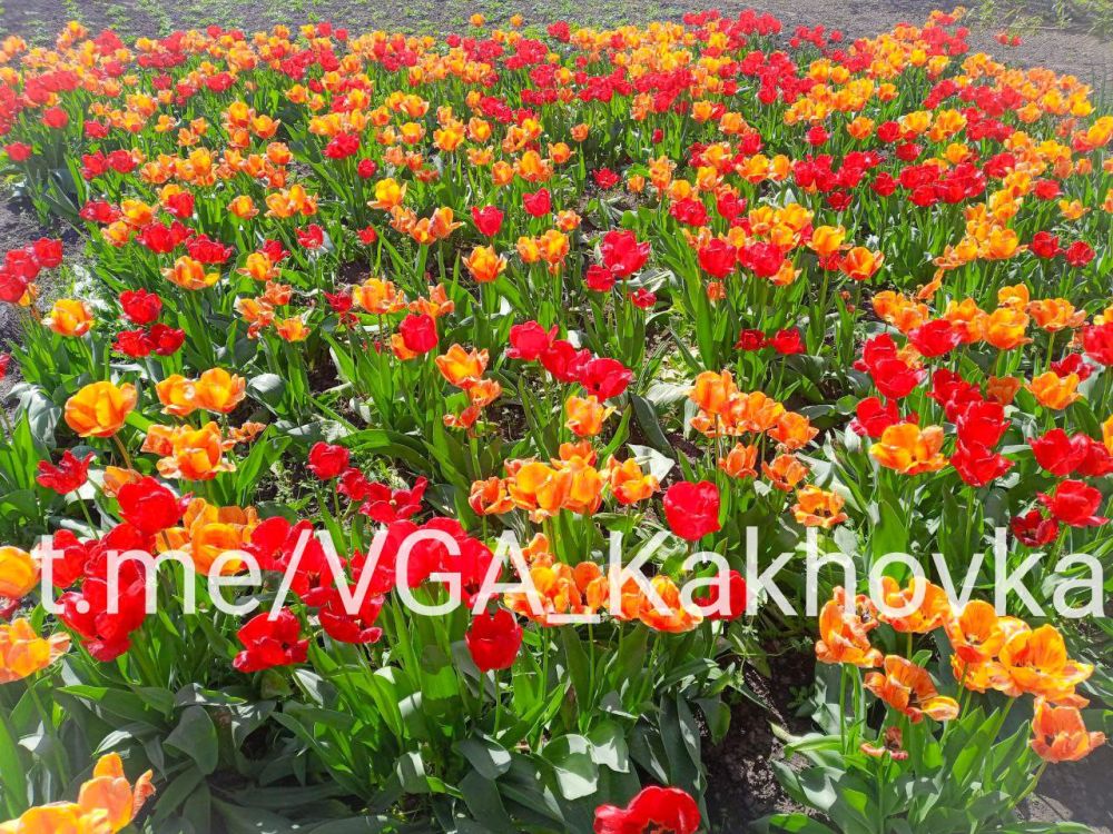 ��� �� ��������� ��� ������������� ����� ������!