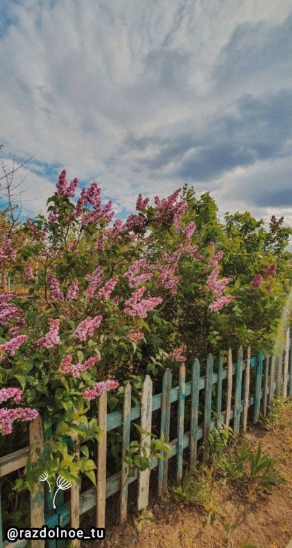 � ������ �����, ����������!